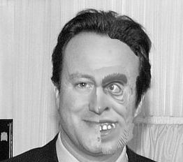 The Two Faces of David Cameron